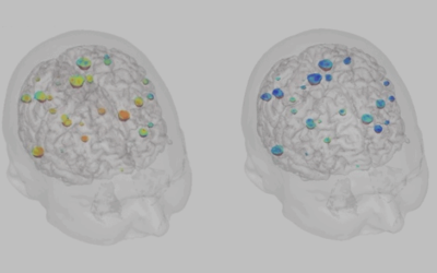 Xstrahl in Action: SARRP Assists in EPR-Mediated Tumor Targeting