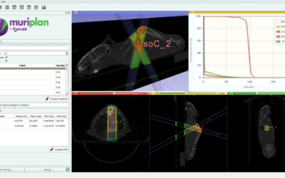 MuriPlan Treatment Planning Demonstration