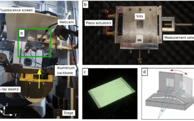 Xstrahl in Action: SARRP and XenX Enable Microbeam Radiation Therapy at a Small Animal Irradiator