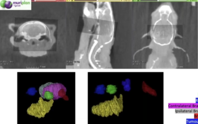 Advancements in Translational Research: Optimizing Radiation Therapy Delivery with Dr. Chalmers, University of Glasgow